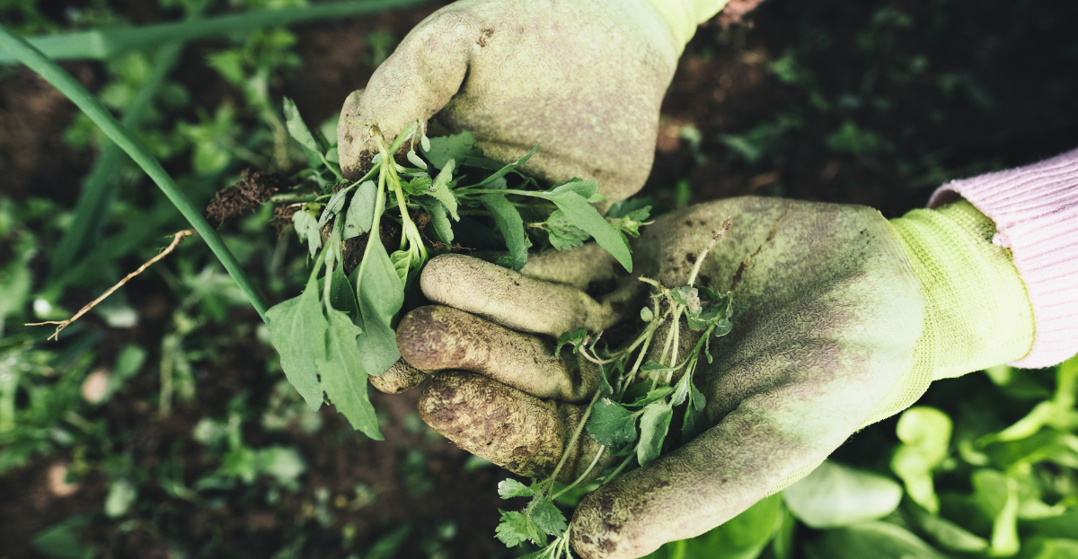 Gardening Gloves